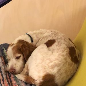 Meet your Posher, Xanthe